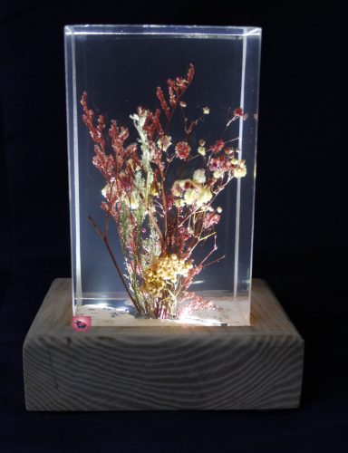 Getrocknete Blumen und Pflanzen unter klarem Harz auf einem Holzsockel.