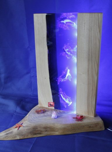 Meerestiere mit Lichtern, die einen Ozean simuliert.